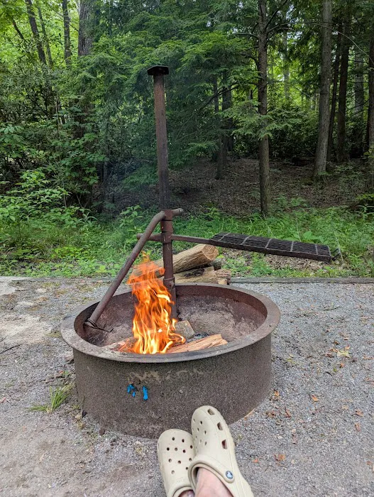 Horse Creek Campground Picture 4