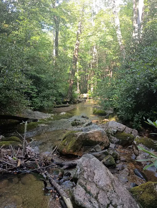 Horse Creek Campground Picture 3