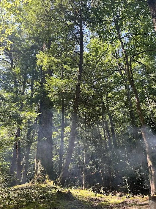 Horse Creek Campground Picture 6