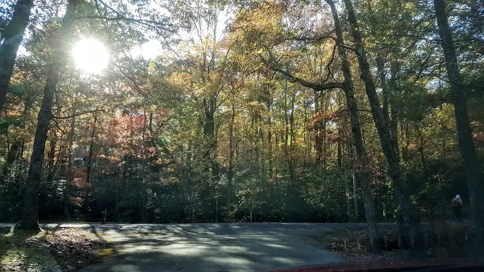 Horse Creek Campground Picture 7