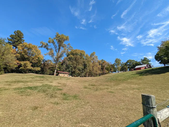 Lazy Llama Campground Picture 7