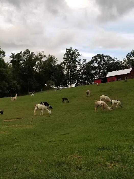 Lazy Llama Campground Picture 6