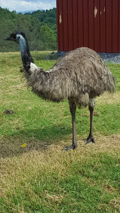 Lazy Llama Campground Picture 9