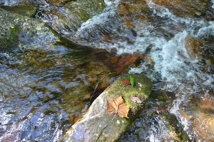 Old Forge Campground Picture 10