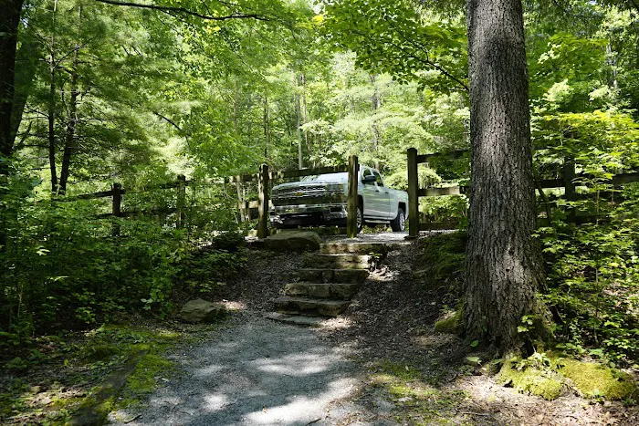 Old Forge Campground Picture 6