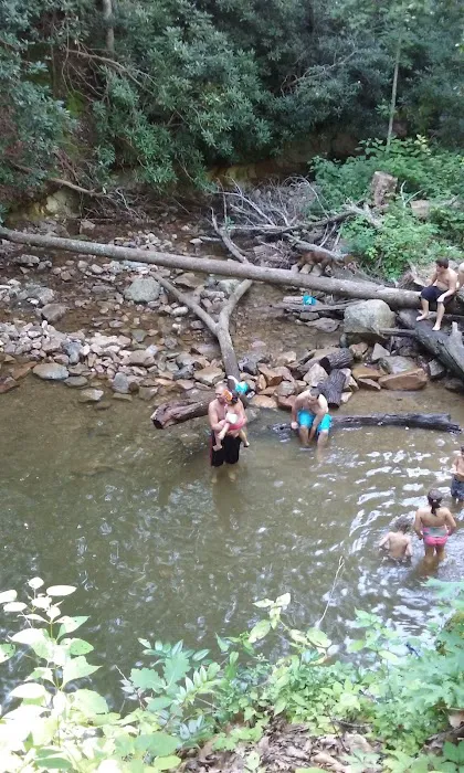 Old Forge Campground Picture 5