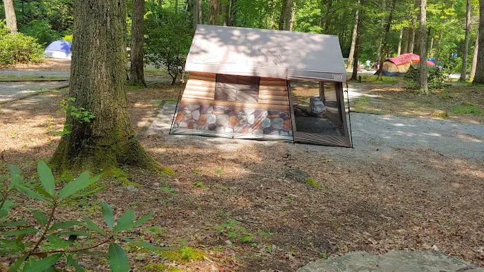Old Forge Campground Picture 1