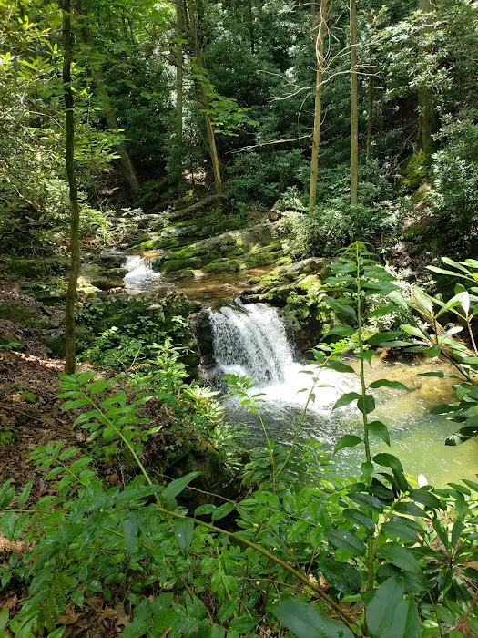 Old Forge Campground Picture 7