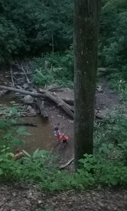 Old Forge Campground Picture 3
