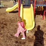 Pine Forest Mobile Home Park