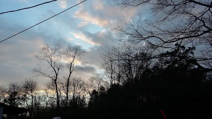 Pine Forest Mobile Home Park Picture 3