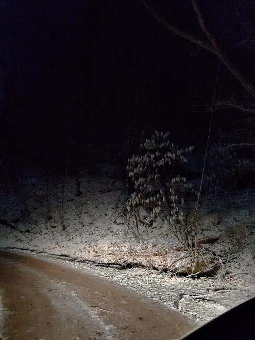 Round Knob Picnic Area Picture 3