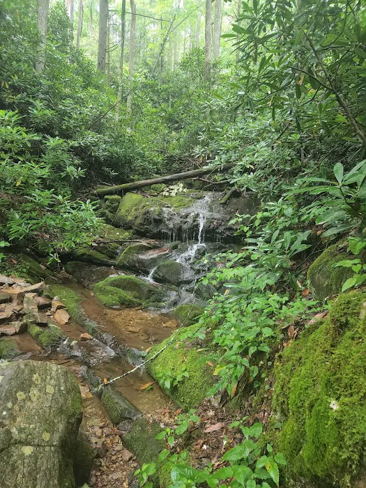Round Knob Picnic Area Picture 10