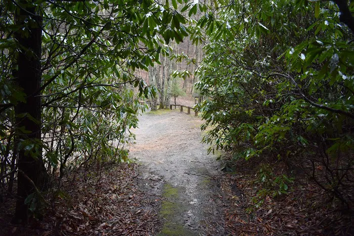 Round Knob Picnic Area Picture 6