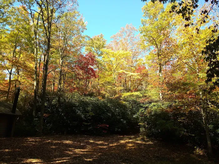 Round Knob Picnic Area Picture 4