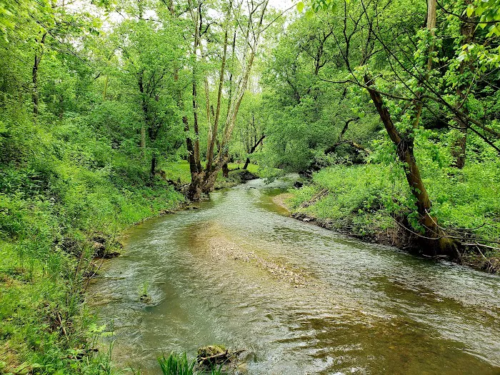 Out on the creek Rv park Picture 10
