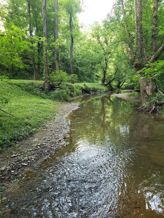 Out on the creek Rv park Picture 3
