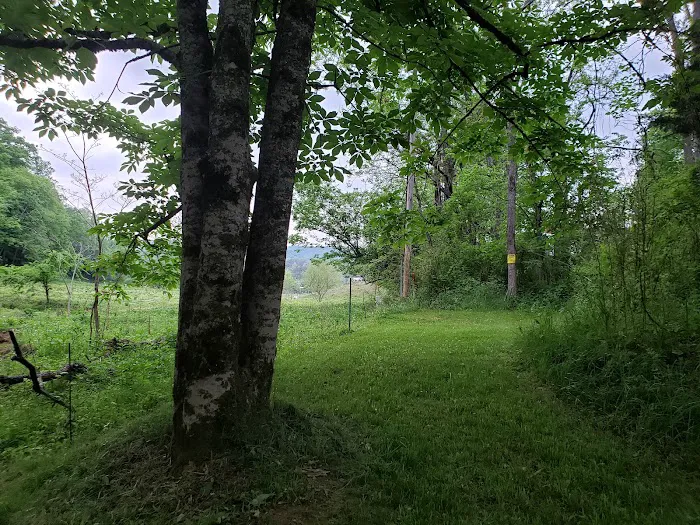 Out on the Creek Campground Picture 6