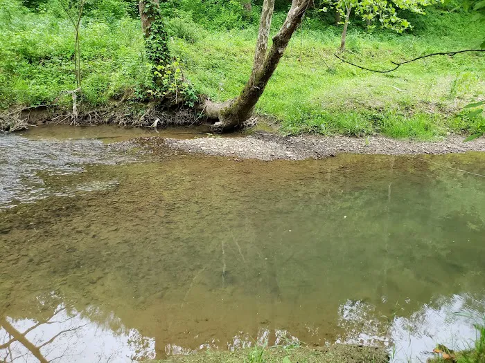 Out on the Creek Campground Picture 3