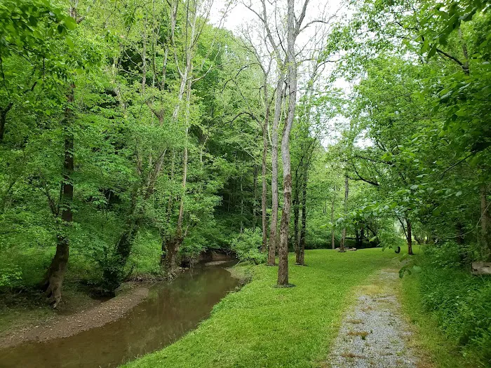 Out on the Creek Campground Picture 10