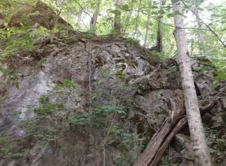 Goat mountain tVA