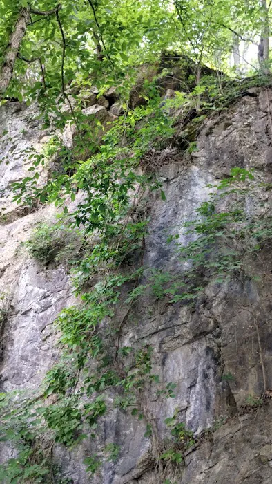 Goat mountain tVA Picture 3