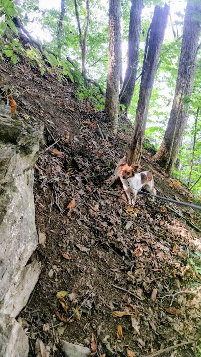 Goat mountain tVA Picture 2