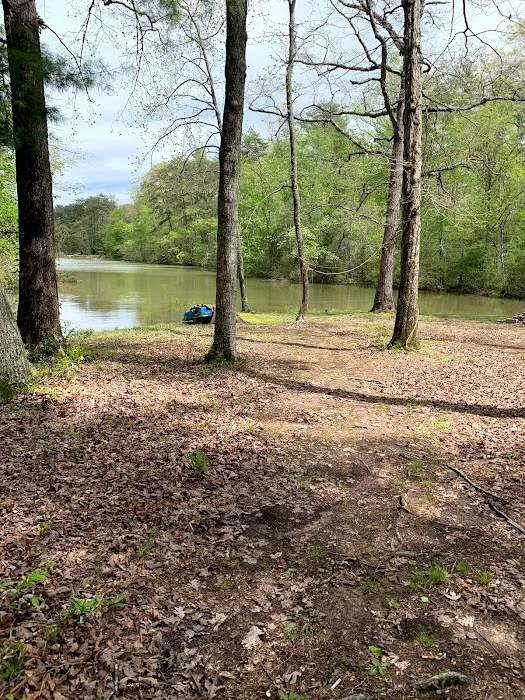 RV LOTS for rent on Watts Bar Lake! Picture 6