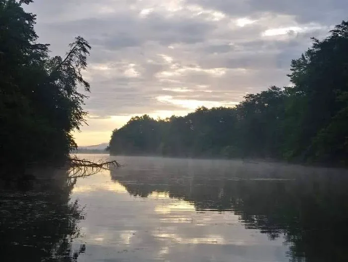 RV LOTS for rent on Watts Bar Lake! Picture 7