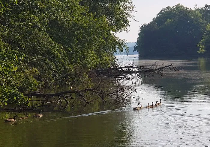 RV LOTS for rent on Watts Bar Lake! Picture 4