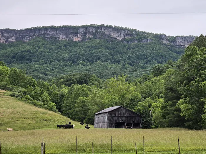 Rock Bottom Horse Camp Picture 2