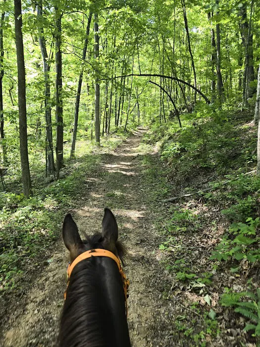 Rock Bottom Horse Camp Picture 6