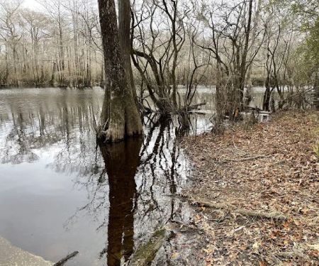 Sampson Landing