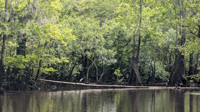 Sampson Landing Picture 10