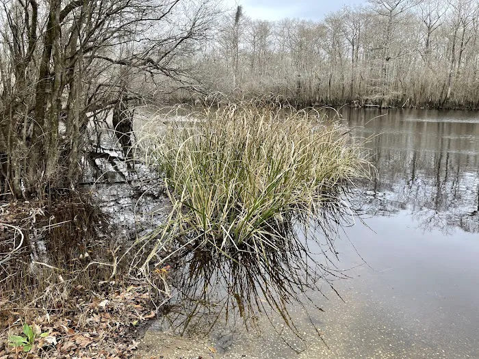 Sampson Landing Picture 3