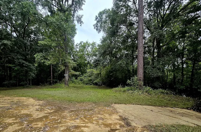 Sampson Landing Picture 6