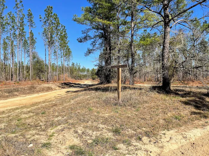 Sampson Landing Picture 2