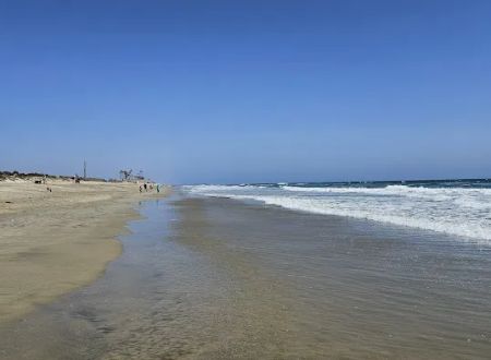 Huntington Beach State Park Campground