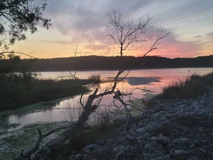 Huntington Beach State Park Campground Picture 5