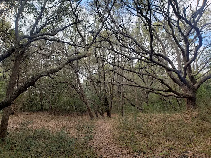 Huntington Beach State Park Campground Picture 6