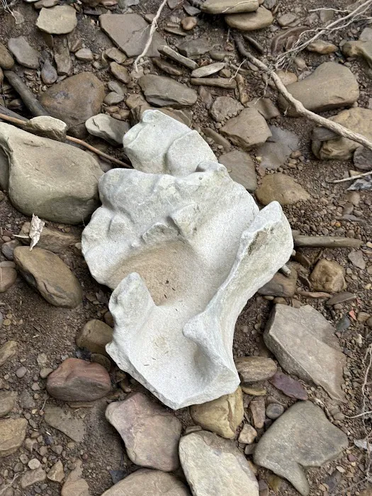 Turkey Foot Campground Picture 7