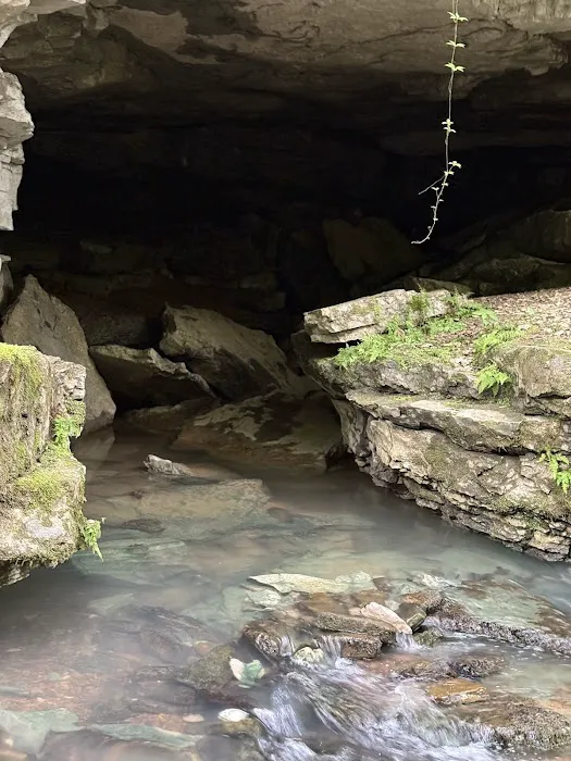 Turkey Foot Campground Picture 6