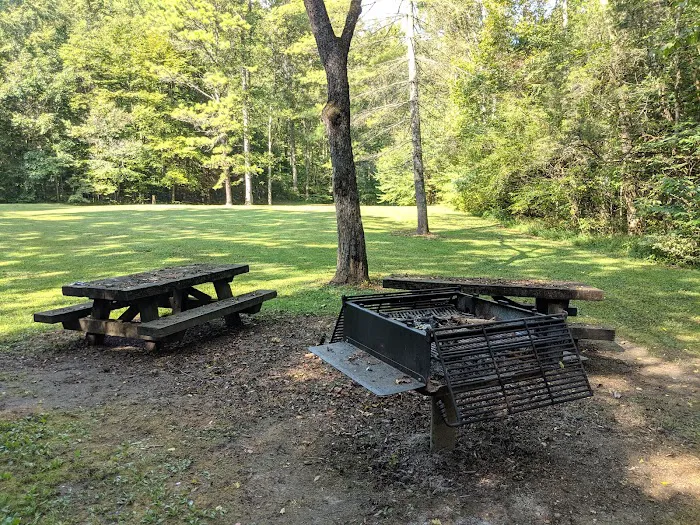 Turkey Foot Campground Picture 9
