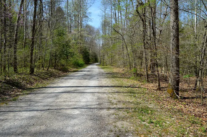 Turkey Foot Campground Picture 3