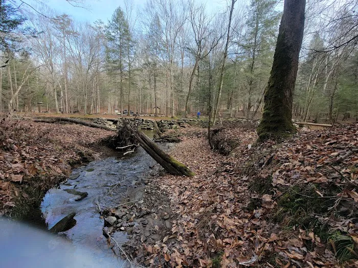 Turkey Foot Campground Picture 4