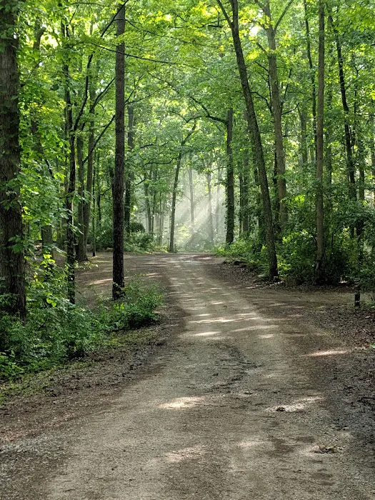 S-Tree Campground Picture 7