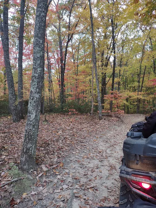S-Tree Campground Picture 3
