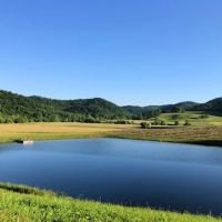 Crockettsville ico