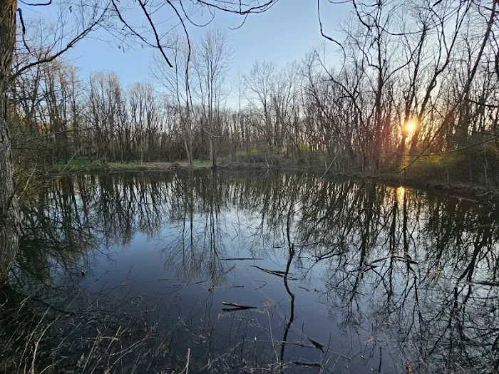 Hodapp Holler Picture 7