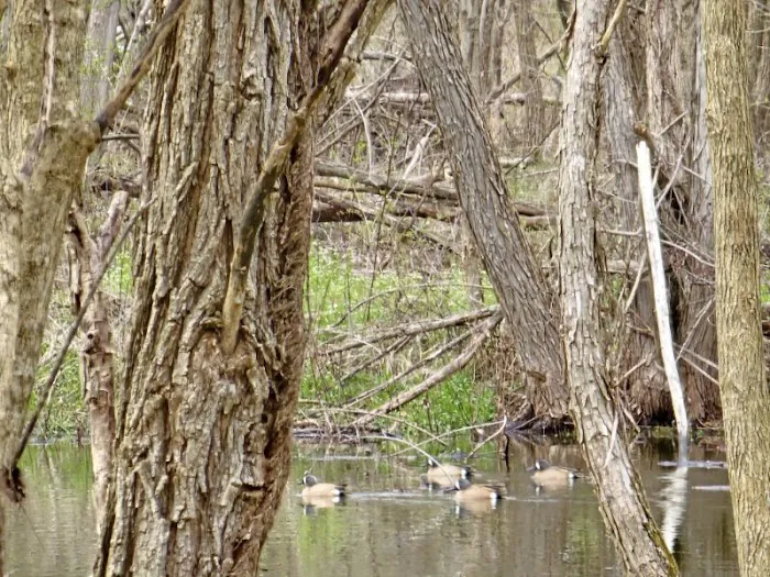 Hodapp Holler Picture 5